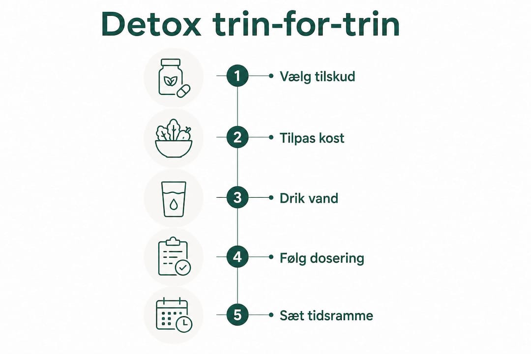 Sådan kommer du i gang med detox: 5 simple skridt samlet i en overskuelig infografik