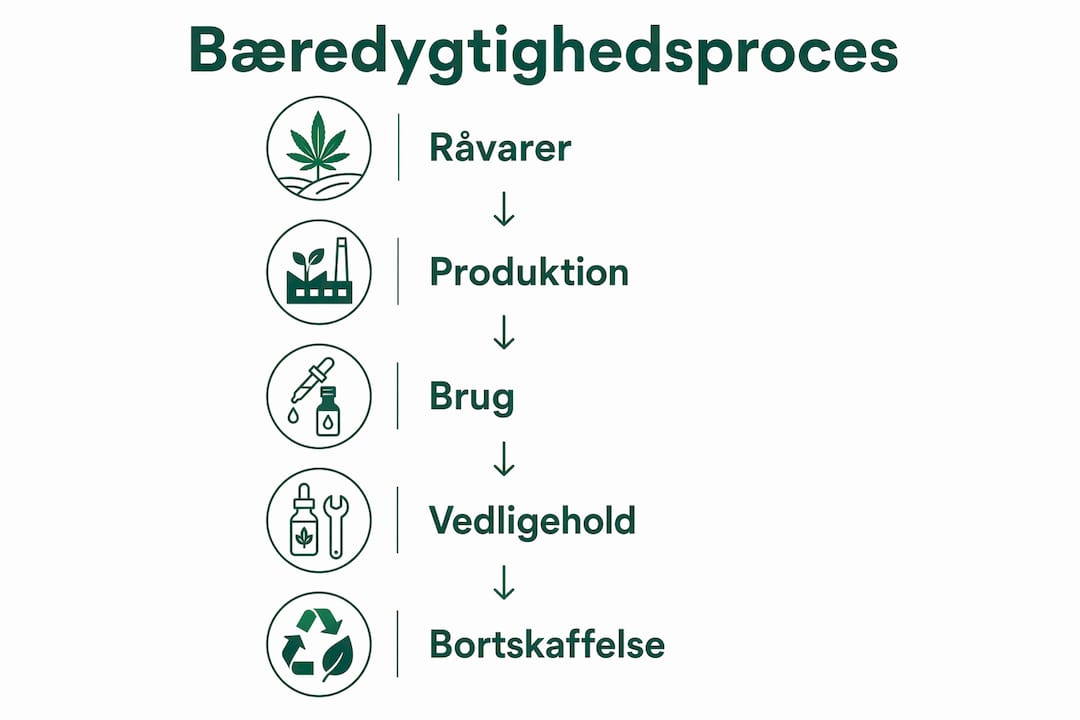 Grafisk overblik: Sådan arbejder vi med bæredygtighed i vores produktudvikling