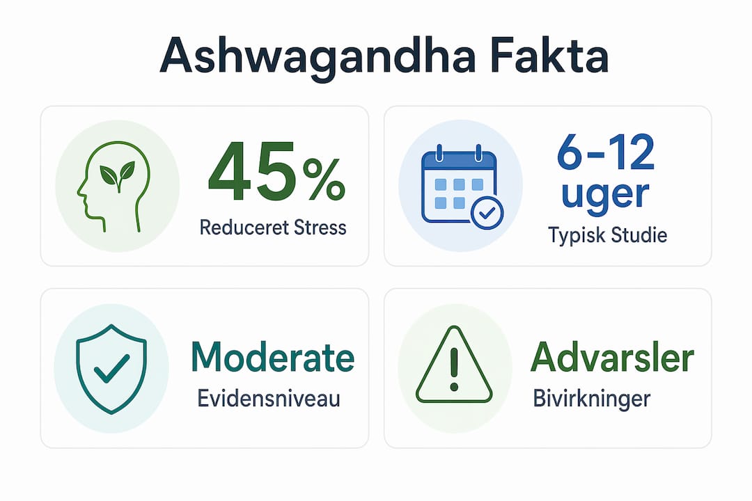 Oversigt med vigtige tal og fakta om ashwagandha