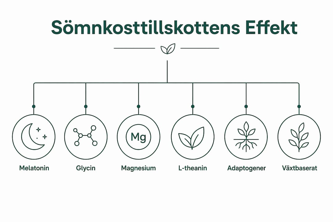 Grafisk översikt: Så effektiva är olika kosttillskott för bättre sömn – från mest till minst hjälpsamma
