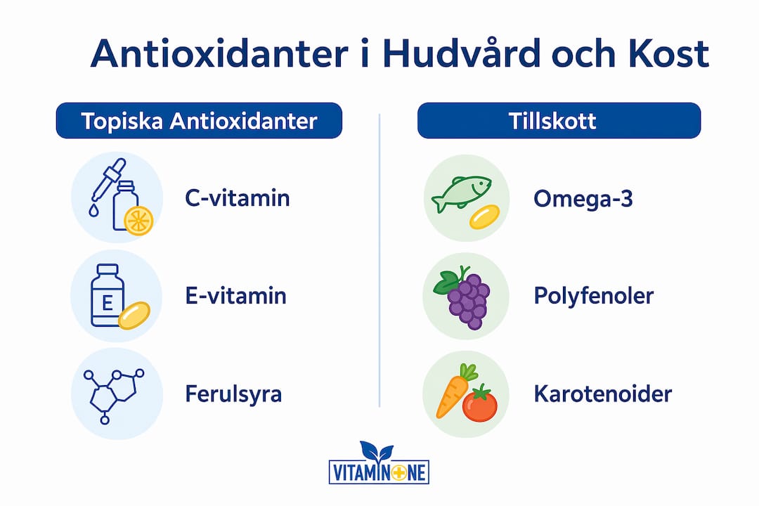 Infografik: Så skiljer sig antioxidanter i hudvård från kosttillskott