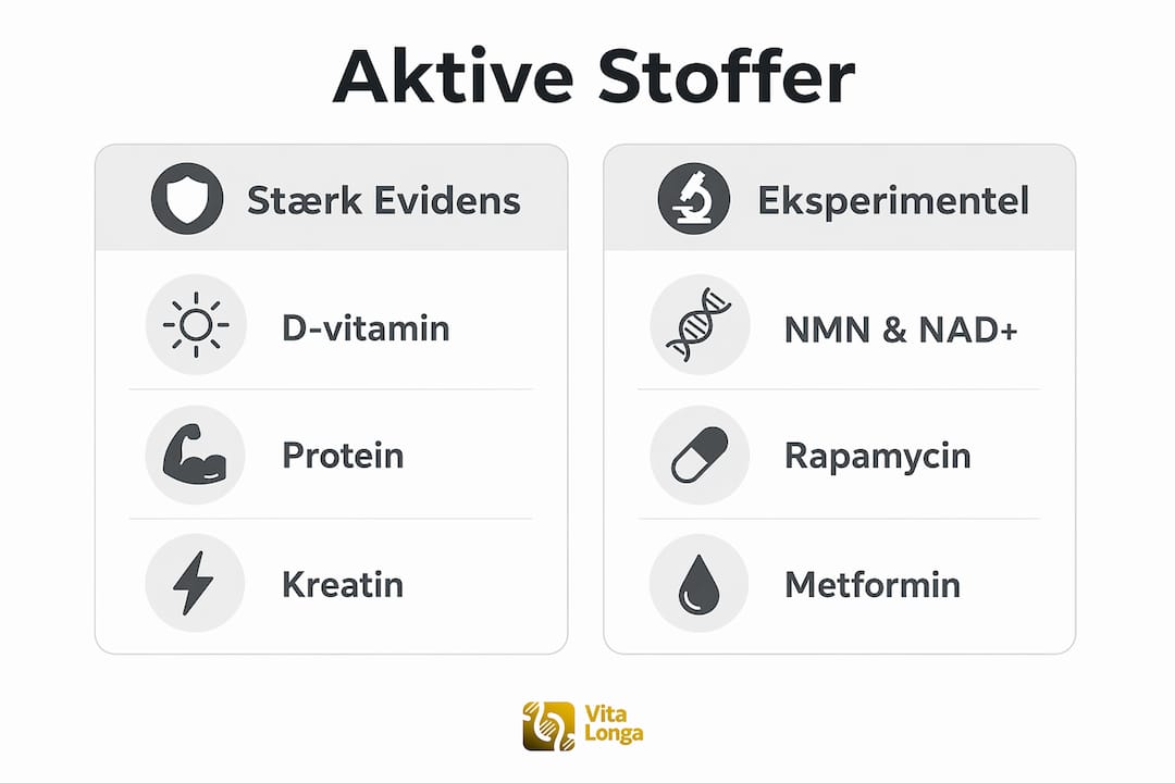 Grafisk oversigt over de mest effektive ingredienser til bekæmpelse af alderstegn