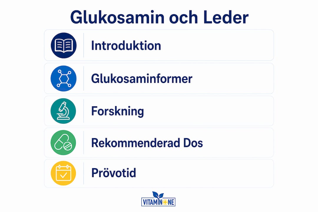 En överskådlig infografik om glukosamin – från verkningssätt till aktuell forskning