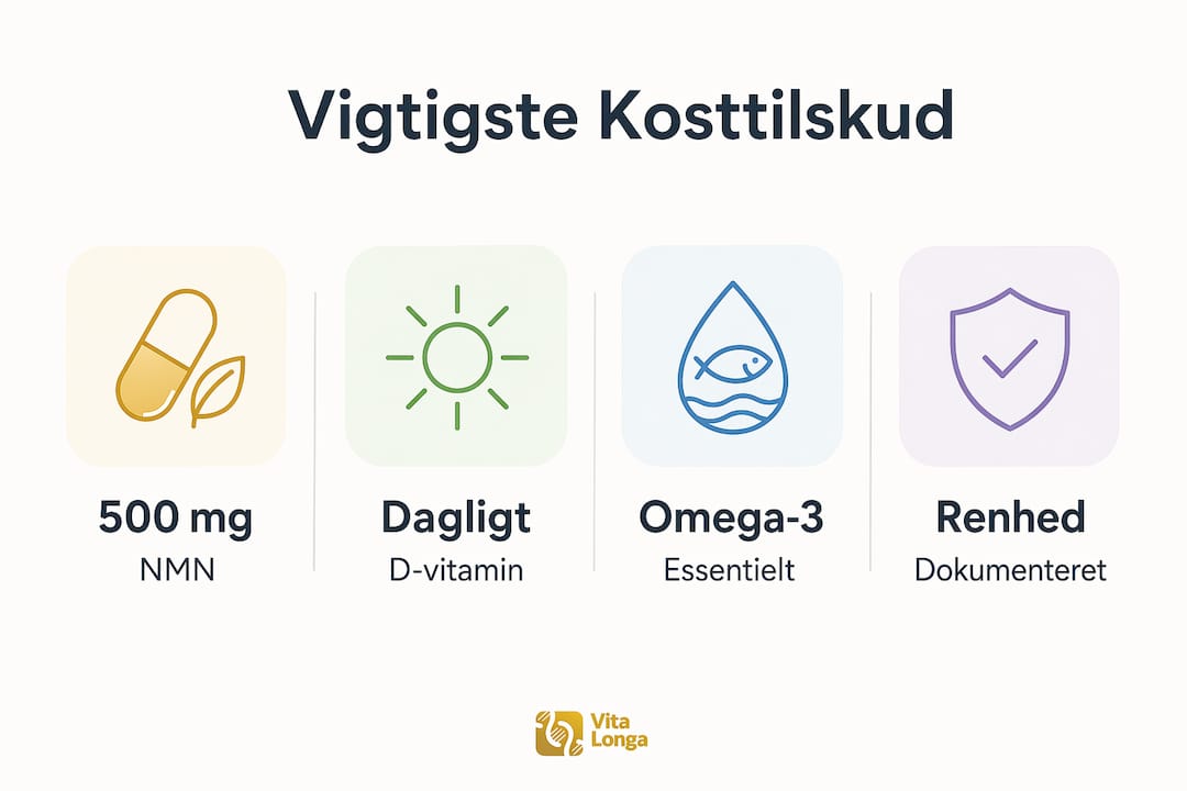 Grafisk oversigt: De vigtigste kosttilskud mod aldring