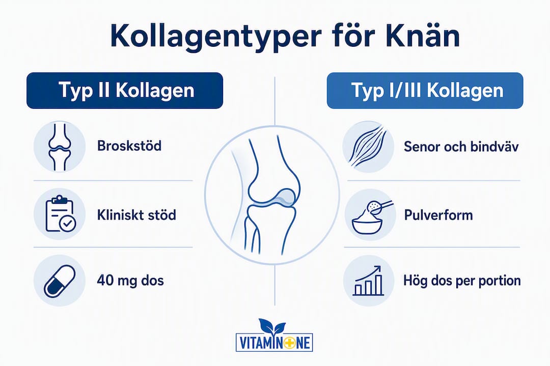 Så skiljer sig typ II och typ I/III kollagen – en översikt för knäledens hälsa