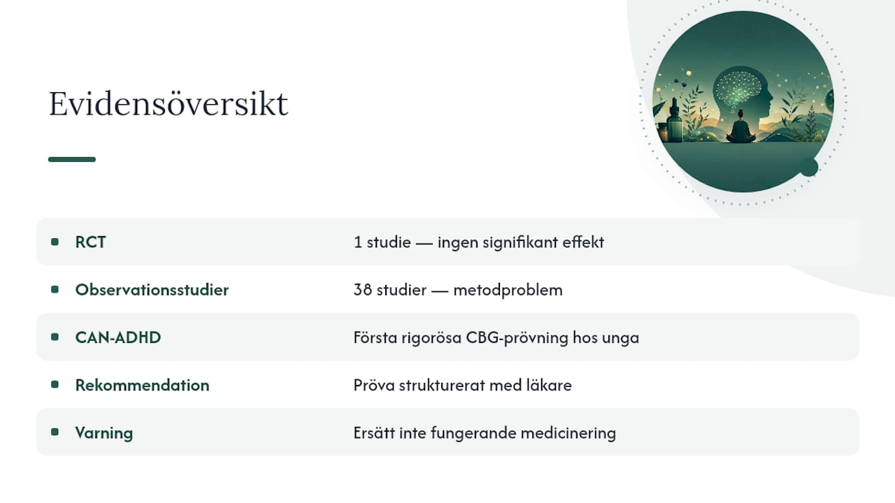 Mitt perspektiv på cannabinoider och ADHD — overview diagram