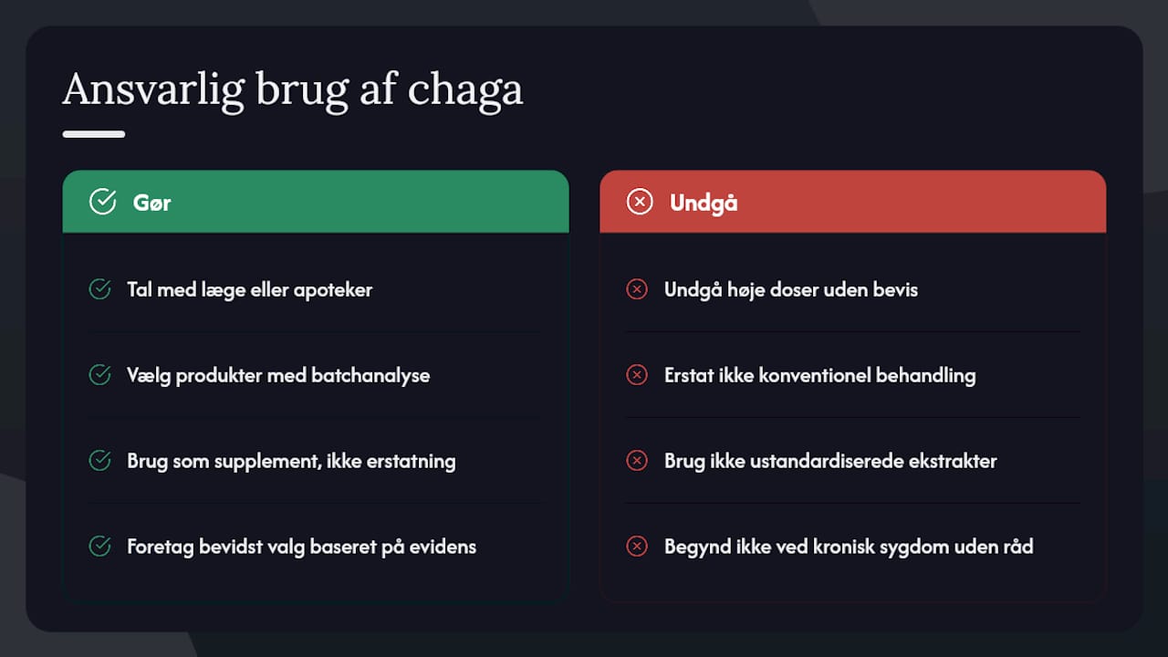 Et perspektiv på ansvarlig brug og fremtidig forskning — overview diagram