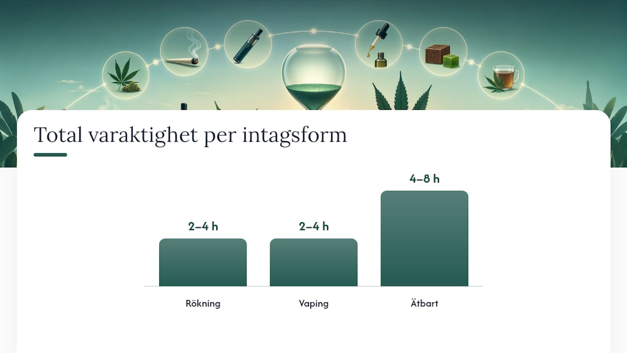 Tidsöversikt: så påverkar cannabis kroppen beroende på intagningssätt