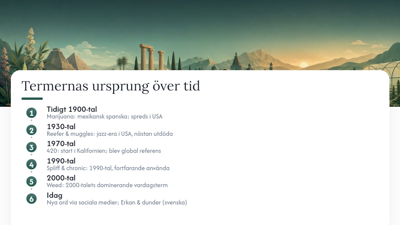 Var kommer termerna ifrån, och hur har de förändrats? — overview diagram