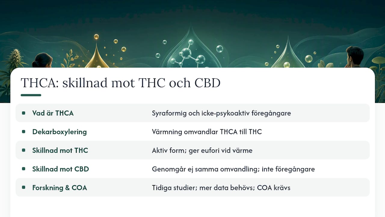 Vad är THCA och hur skiljer det sig från THC och CBD? — overview diagram
