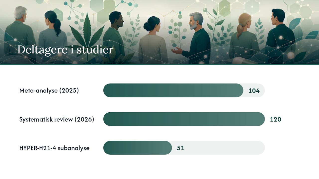 Hvad siger forskningen om CBD og blodfortyndere? — overview diagram