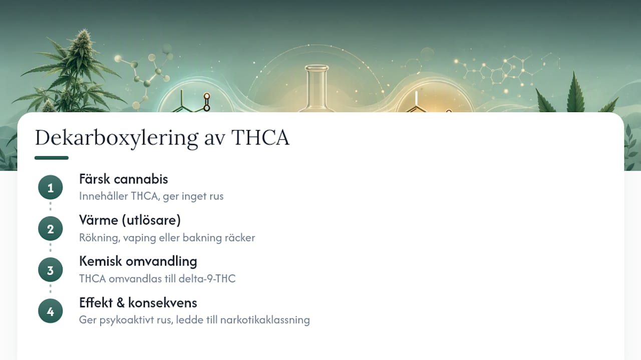 Illustration som visar hur THCA omvandlas till THC när det utsätts för värme.