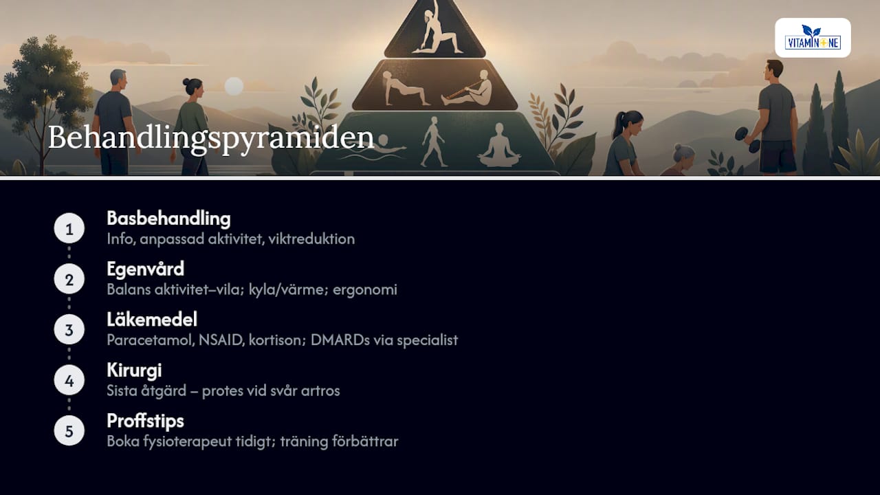 Vilka behandlingar finns för ledbesvär? — overview diagram