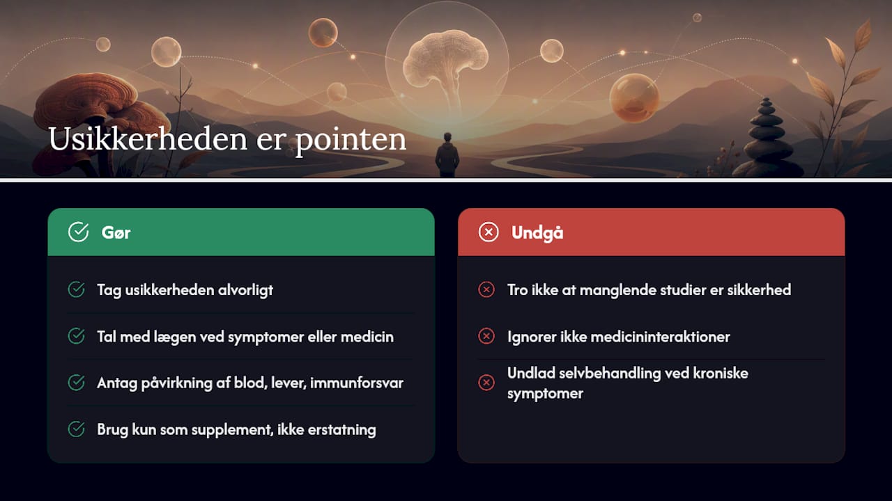Mit perspektiv: usikkerheden er selve pointen — overview diagram