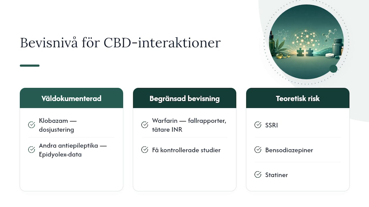 Vetenskapliga studier om CBD och läkemedelsklasser — overview diagram