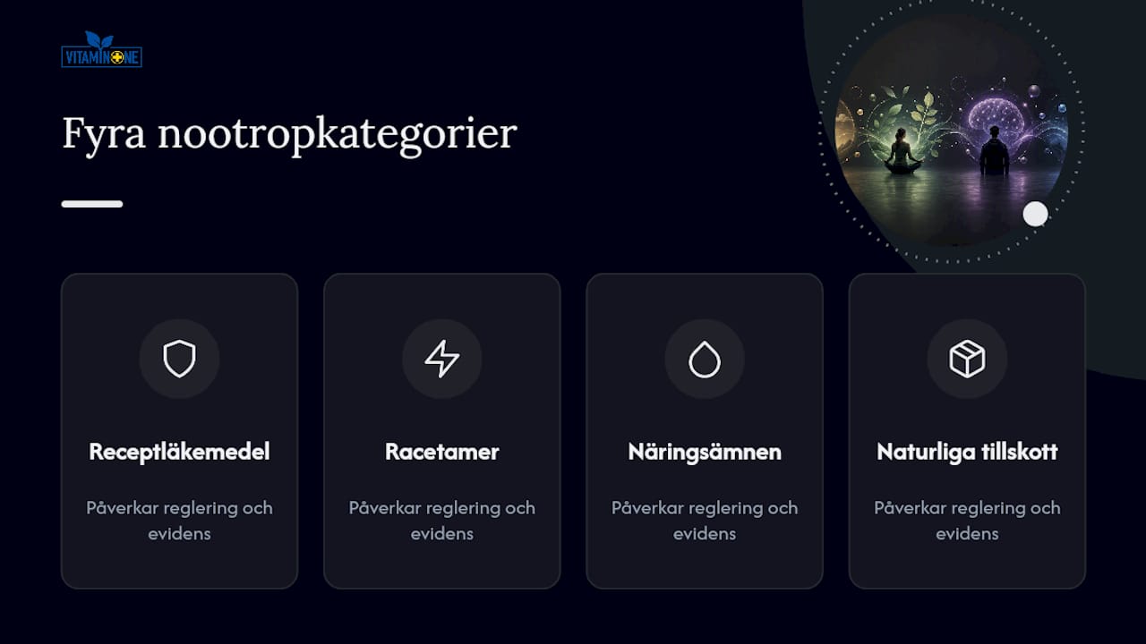 Illustration som visar fyra olika typer av nootropika