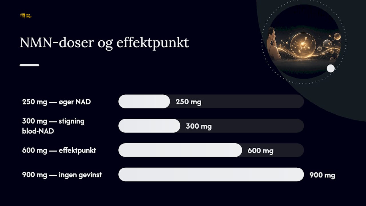 Hvor meget NMN skal du tage, og hvornår ser du resultater? — overview diagram