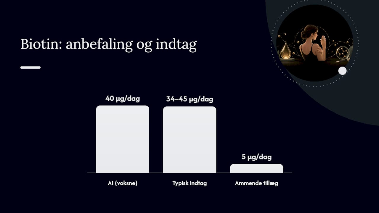 Officielle anbefalinger og typisk kostindtag for biotin dosering — overview diagram