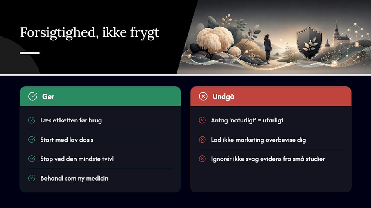 Hvorfor forsigtighed er den rigtige holdning, ikke frygt — overview diagram