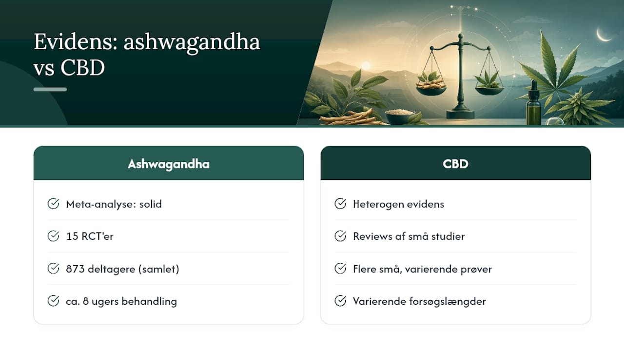 Videnskabelig sammenligning af ashwagandha og CBD