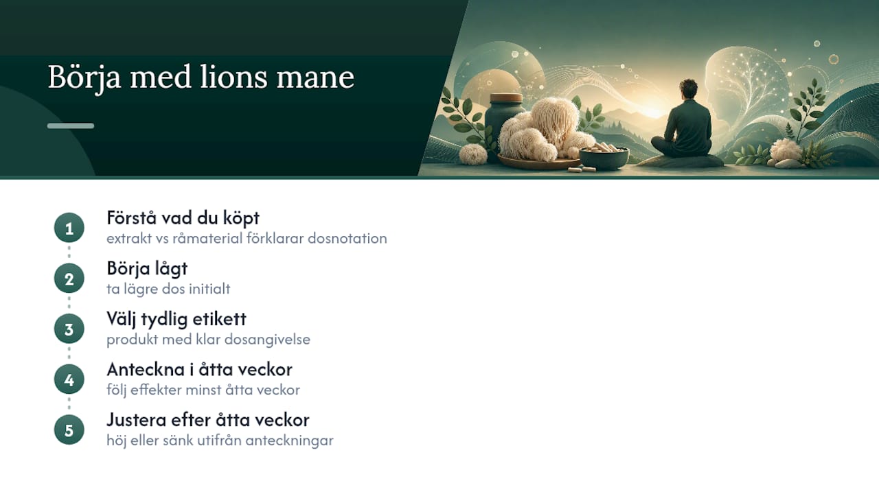 Vad kunder frågar mest om lions mane — overview diagram