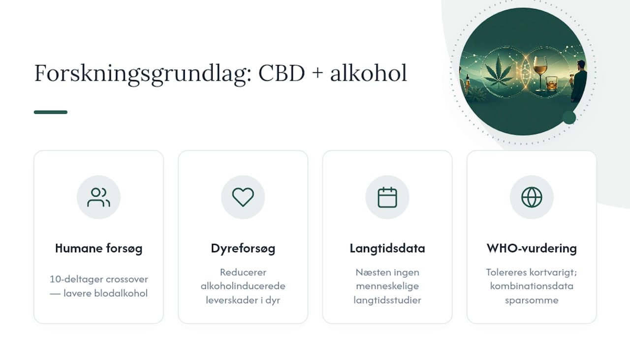 Oversigt over forskning i CBD og alkohol