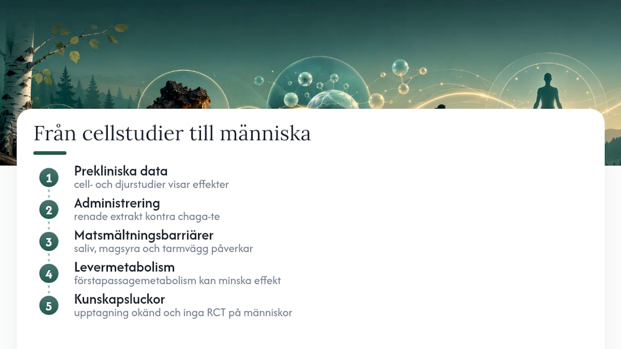 Forskningsprocess från cellstudie till människa