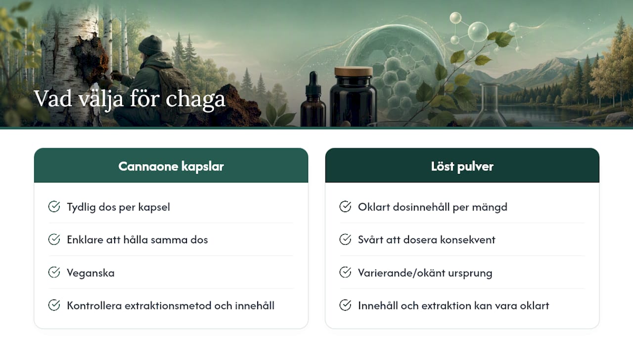 Cannaone och chagakapslar: vad ska du leta efter? — overview diagram