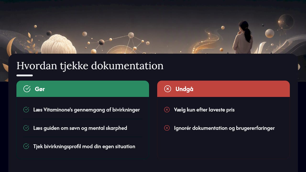 Hvordan sikrer du dig, at produktet er dokumenteret? — overview diagram