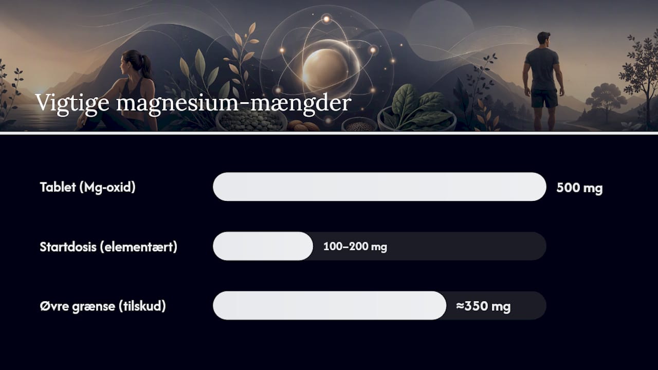 Hvilken magnesium er bedst, og hvor meget skal du tage? — overview diagram
