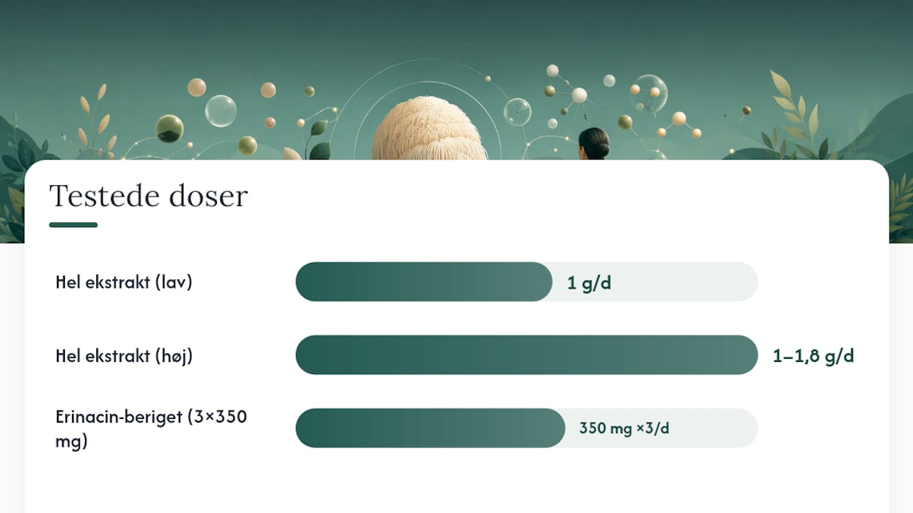 Hvilken dosis er testet, og hvem bør undgå lion's mane? — overview diagram