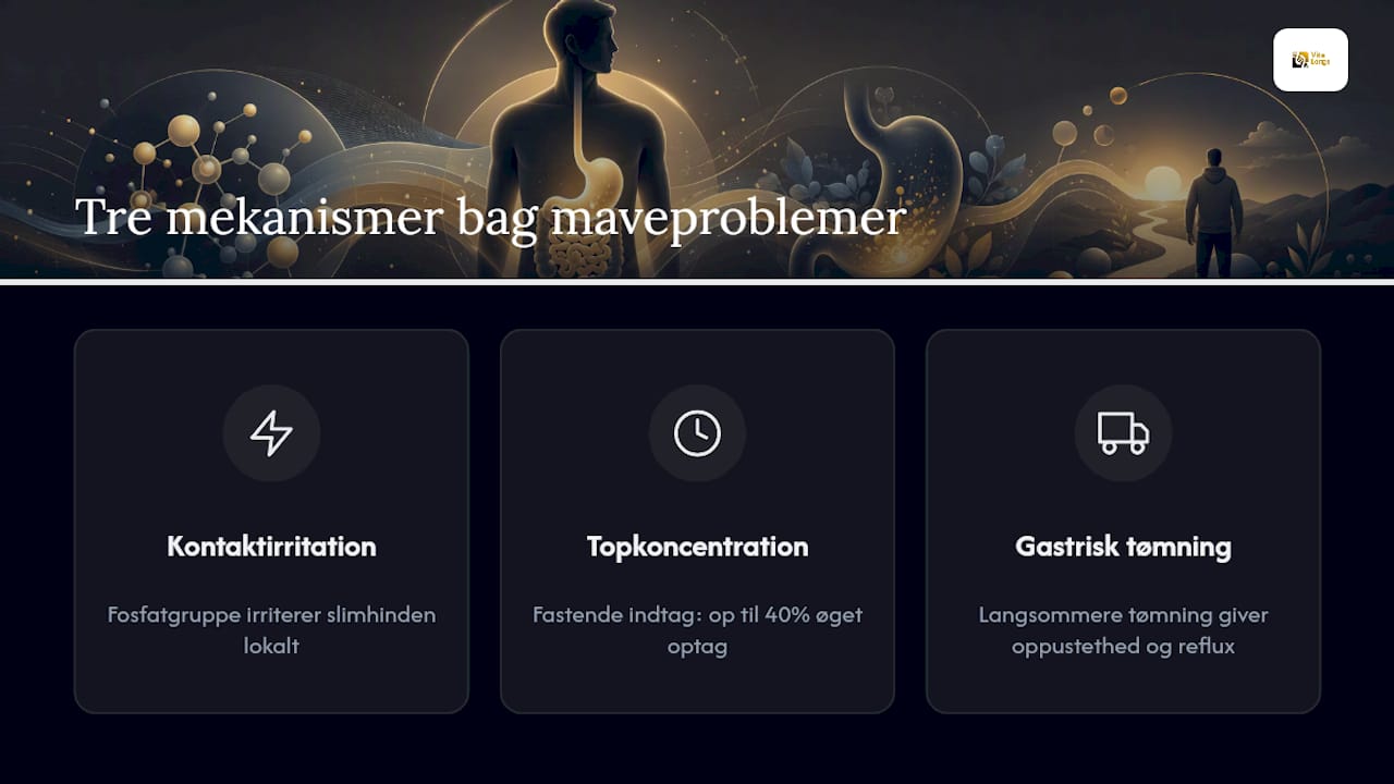 Tre årsager til maveproblemer ved NMN