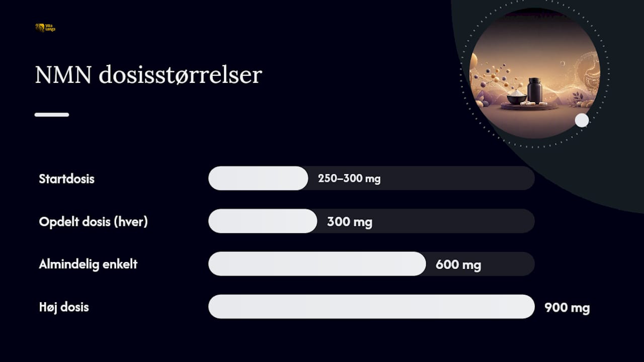 Sådan reducerer du maveproblemer uden at opgive NMN — overview diagram