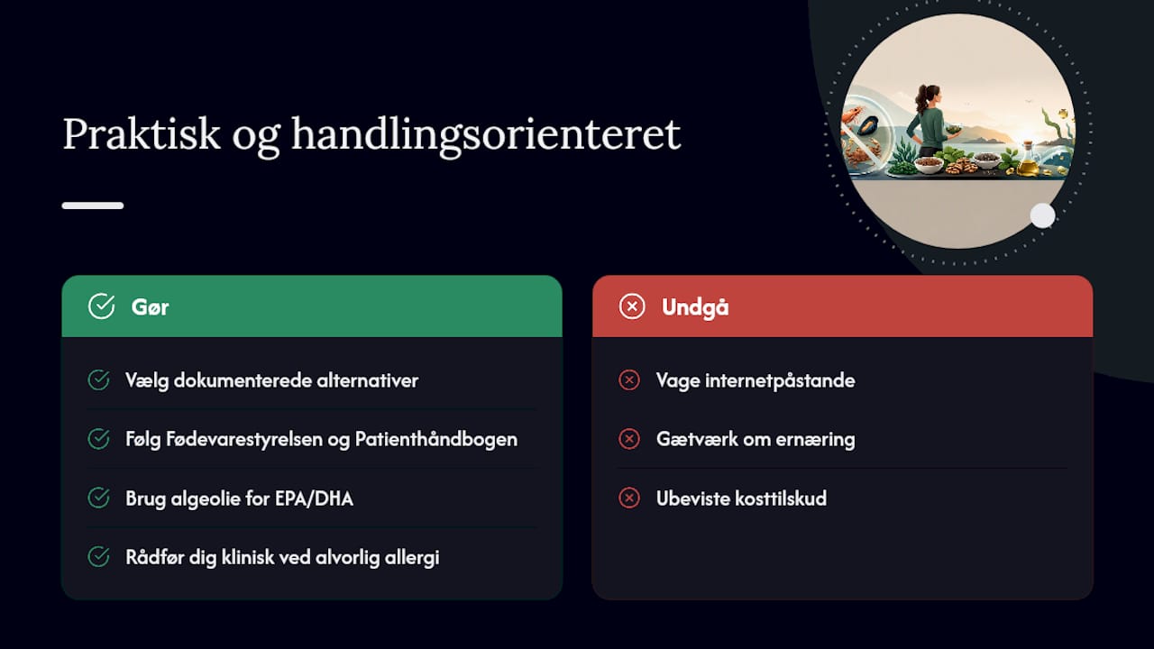 Hvorfor denne vejledning er praktisk og handlingsorienteret — overview diagram