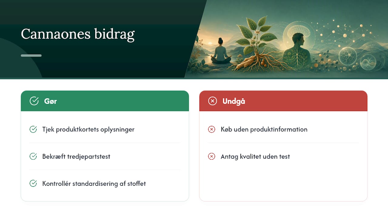 Cannaones bidrag til dokumentation og gennemsigtighed — overview diagram