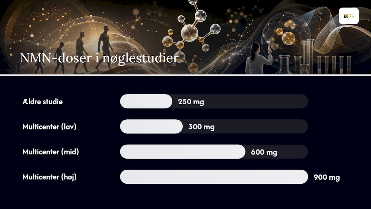 Nmn resultater fra kliniske studier: nøglestudier og hvad de fandt — overview diagram