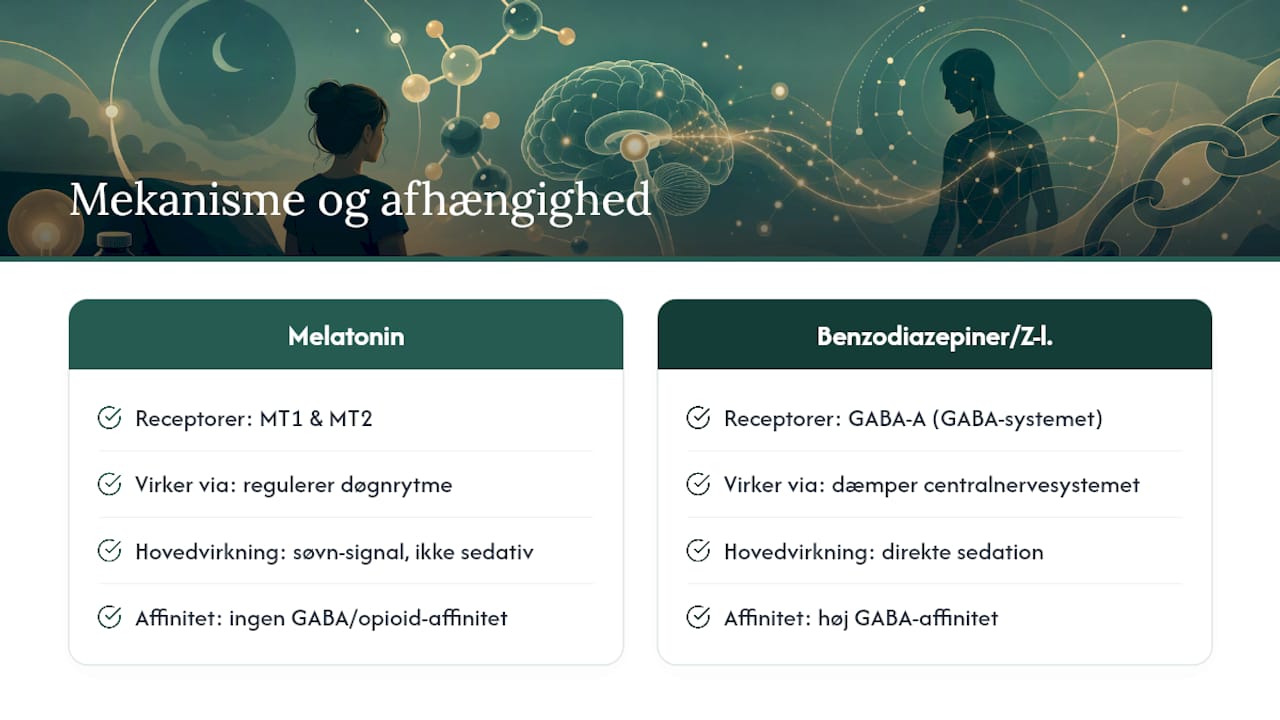 Sammenligning af melatonins og beroligende stoffers virkemåde