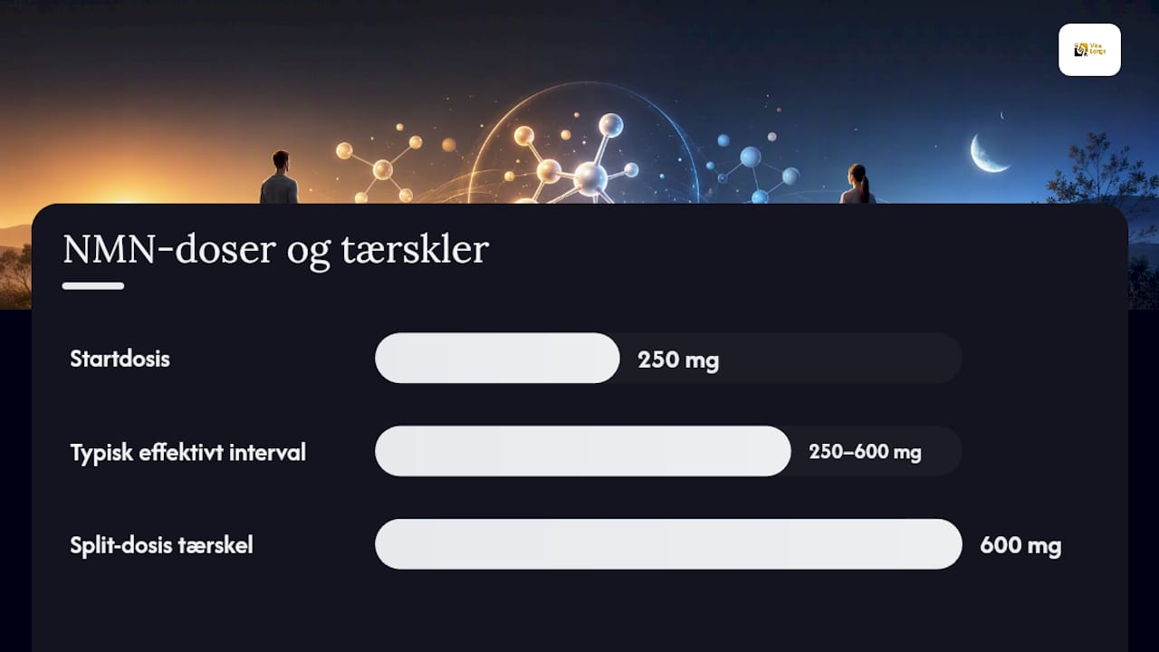 Hvordan finder du den rigtige dosis og det rigtige tidspunkt? — overview diagram