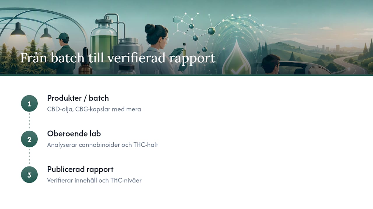 Processen från CBD-batch till laboratorierapport