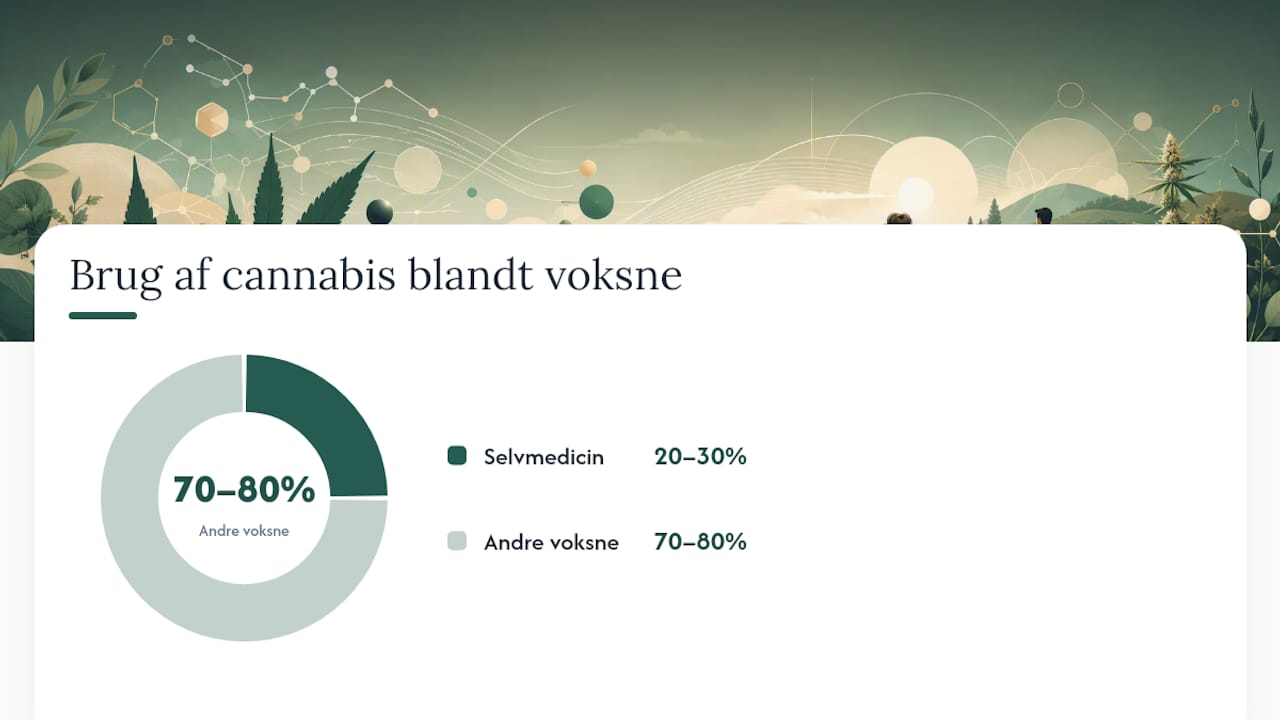 Hvad siger forskningen om cbd mod ADHD? — overview diagram