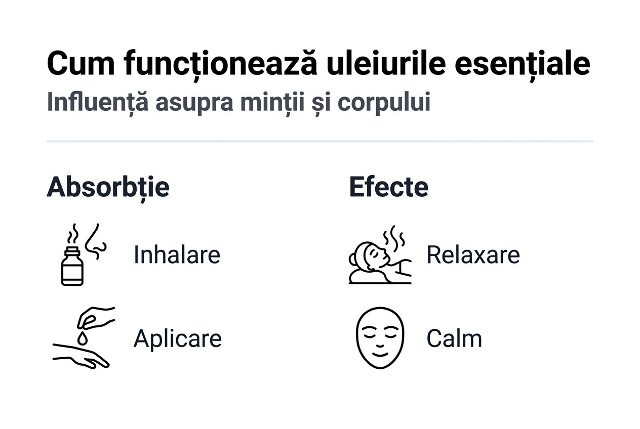 Infografic: Cum acționează uleiurile esențiale în combaterea stresului