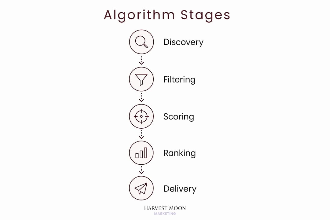 Infographic showing the stages of social media algorithms