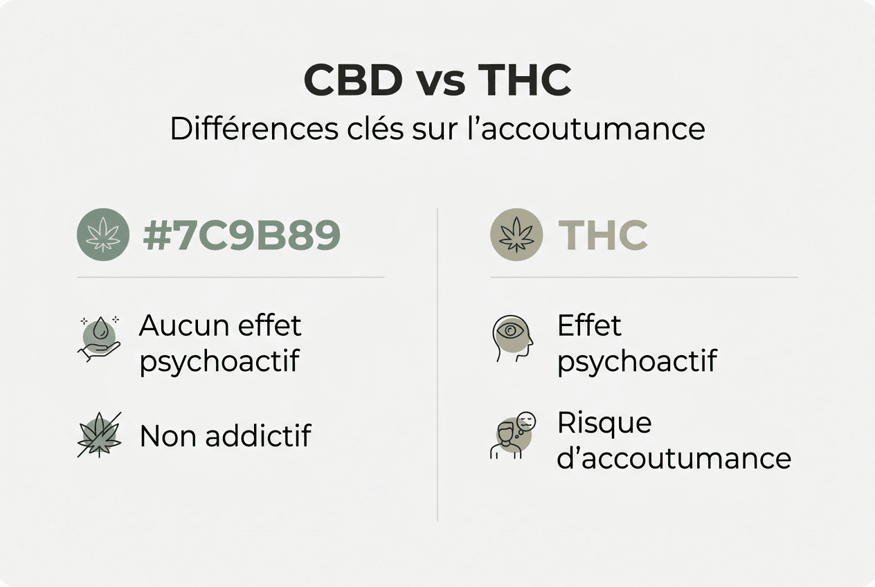 Infographie : CBD vs THC – comprendre les différences en matière de dépendance