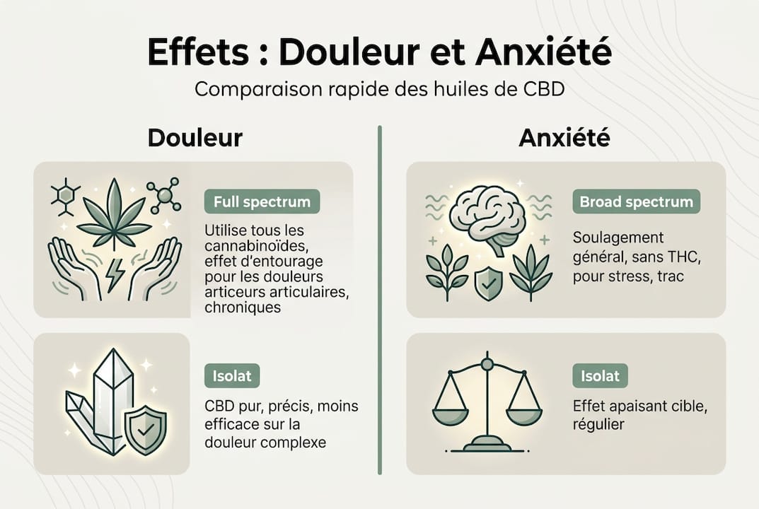 Infographie : comment le CBD agit sur la douleur et l’anxiété