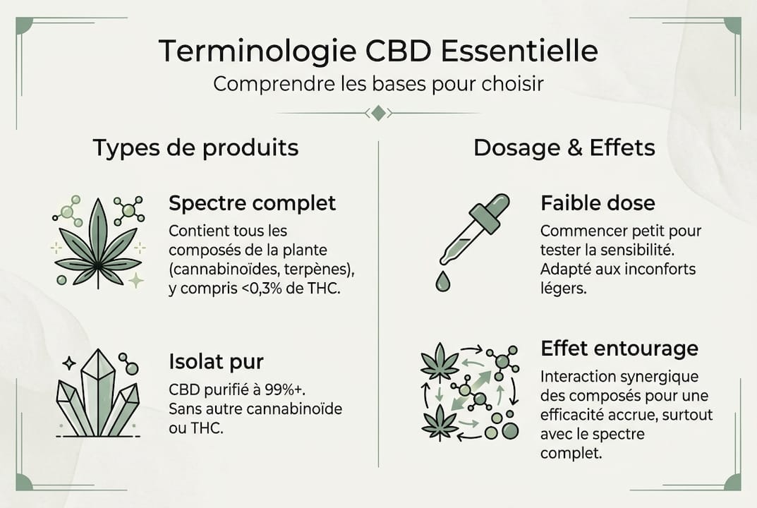 Infographie : les essentiels à connaître sur le CBD et la gestion de la douleur