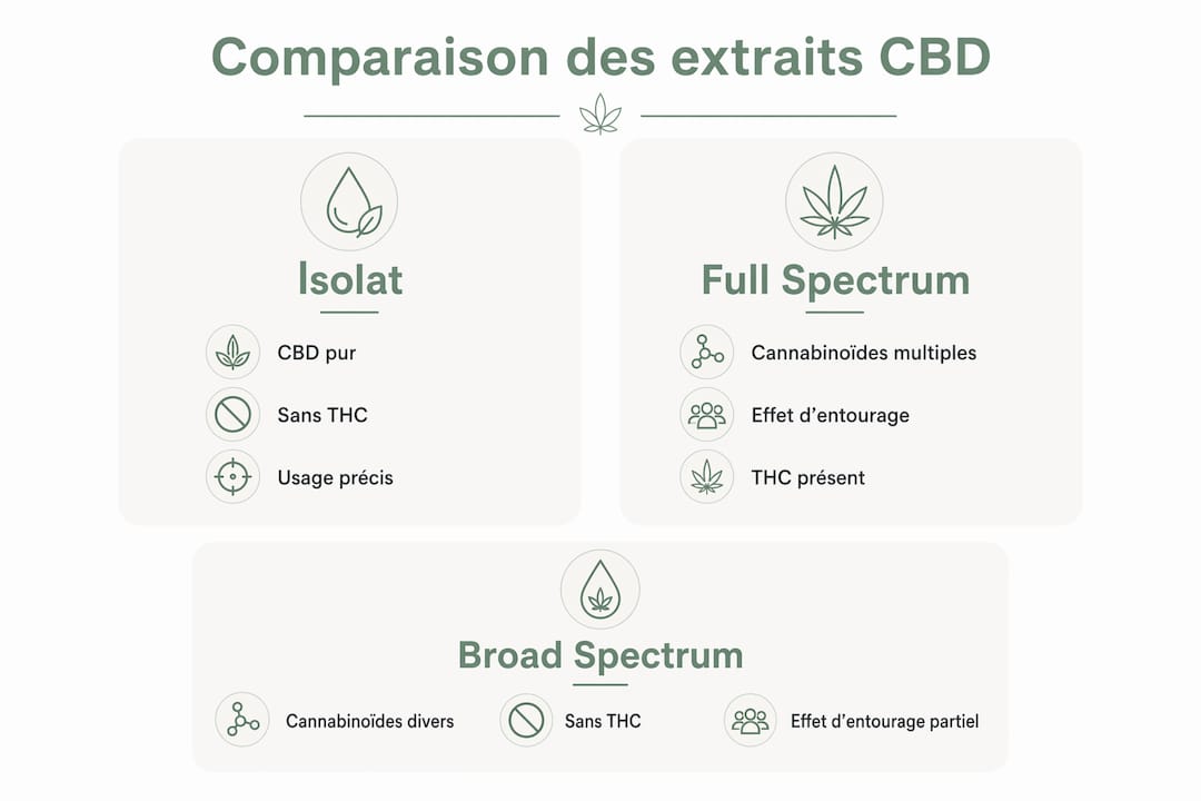 Infographie : les différences entre isolat, spectre complet et spectre large