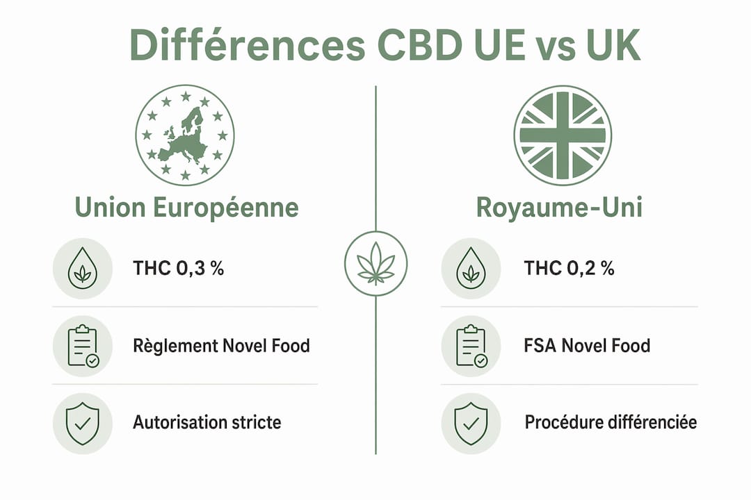 Infographie présentant les différences entre la réglementation du CBD en Europe et au Royaume-Uni