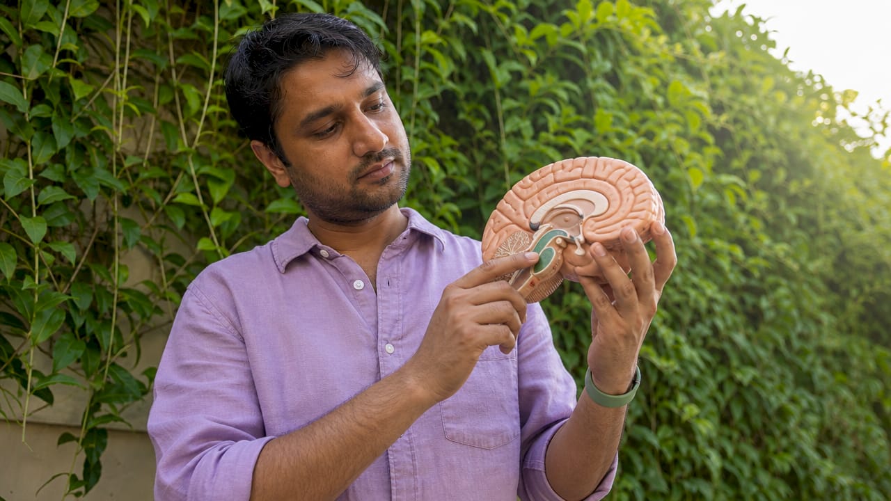 Une main tient un modèle représentant l’hippocampe du cerveau.