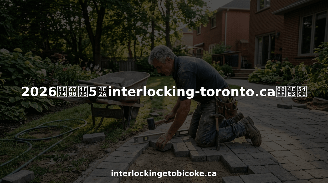 专业景观施工团队正在多伦多铺设庭院石板，打造精致户外空间。