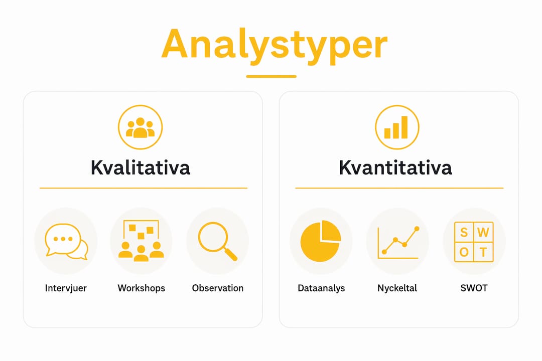 En infograf visar olika typer av verksamhetsanalys och metoderna som används.